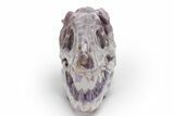 Polished Chevron Amethyst Dinosaur Crystal Skull - Ferocious! #218499-2